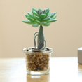 thumbnail image 3 of Coofit Artificial Succulent Plant Mini - Faux Potted Succulent Home Desktop Decoration, 3 of 4
