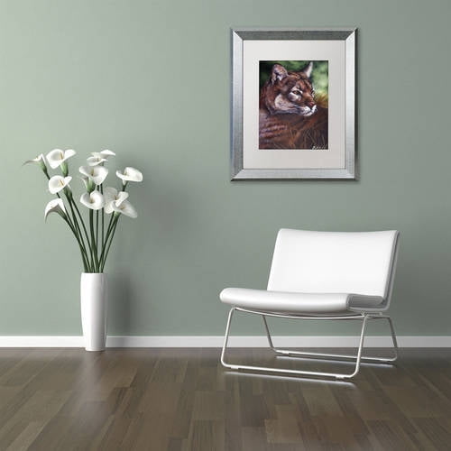 Trademark Fine Art 'Watchful Eyes II' Canvas Art by Jenny Newland, White Matte, Silver Frame