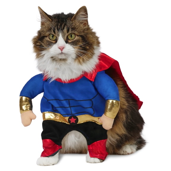 Vibrant Life Halloween Superhero Costume for Dogs and Cats, Multicolor, S