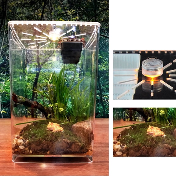Acrylic Reptile Breeding Box with LED Light, Transparent Desktop Terrarium for Spiders, Scorpions, Lizards - 360° View, Feeding/Ventilation Holes (D21.5×H29.5cm)