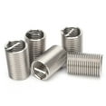 thumbnail image 2 of 5 Uds Insertos De Rosca, Insertos De Rosca De Acero Inoxidable Suministros Industriales Tuerca Reductora De Rosca Macho Hembra Para Suministros Industriales ANGGREK Otros, 2 of 8
