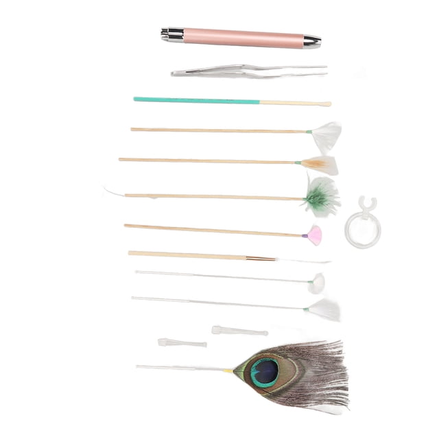 JUEGO DE MASAJE DE CABINA DE OÍDO, JUEGO DE MASAJE DE OREJA COMPACTA RELAJANTE 8 Palo de Pluma Con Oreja para El Salón para Adfres