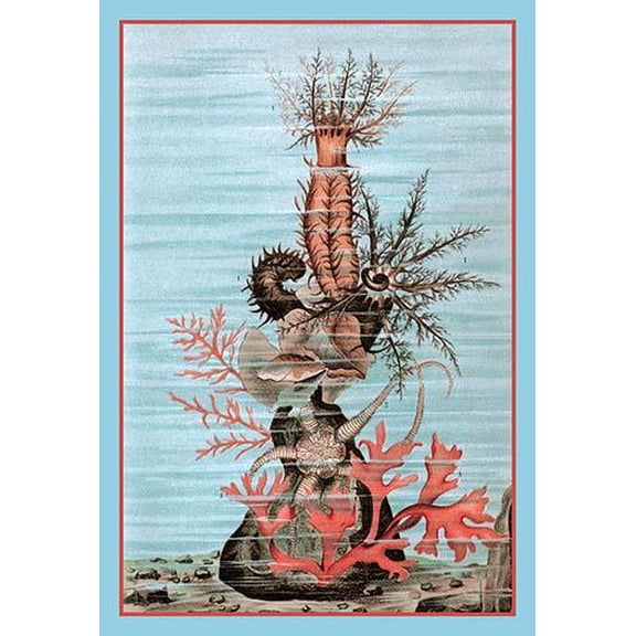 Ocean Floor Art in Nature- Fine Art Canvas Print (20" x 30")