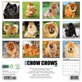 thumbnail image 2 of Chow Chows 2025 Wall Calendar, 2 of 5