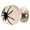 8 legged arachnid, variant on YIGSECU Elegant Insect Crystal Balls Door Knob for Stylish Home Decoration Upgraded