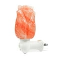 thumbnail image 3 of Rose Shape Night Light, 3 of 3