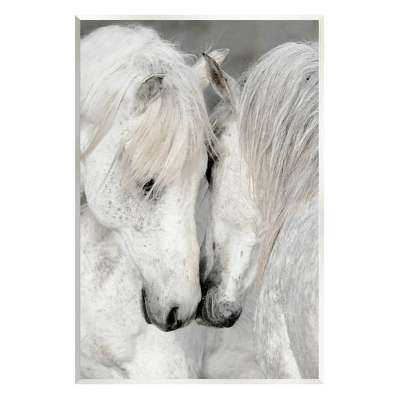 Hugging Horse Duo Wildlife Animals & Insects Photograph Unframed Art Print Wall Art