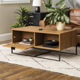 thumbnail image 2 of Jackson 42" Modern Slat Door Coffee Table in English Oak, 2 of 11