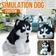 thumbnail image 2 of Husky Dog Toys Plush Toys Simulación Modelos animales Regalos para niños Meser Meser Juguetes-5, 2 of 9
