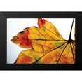 thumbnail image 2 of Berzel, Erin 18x13 Black Modern Framed Museum Art Print Titled - Autumn Colors II, 2 of 5