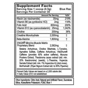 EVL Intense Pre Workout with Creatine - ENGN Energizing Pre Workout for Men Powder Drink for Lasting Energy Focus and Recovery - with Beta Alanine Caffeine and L Theanine - Blue Raz