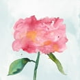 thumbnail image 2 of Ludwig, Alicia 12x12 Gold Ornate Wood Framed with Double Matting Museum Art Print Titled - Joyful Peony IV, 2 of 4