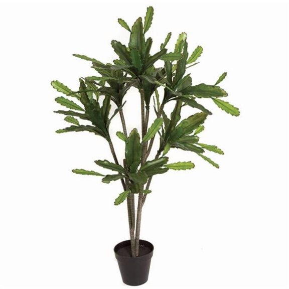 45 in. Epiphyllum Plant - Green