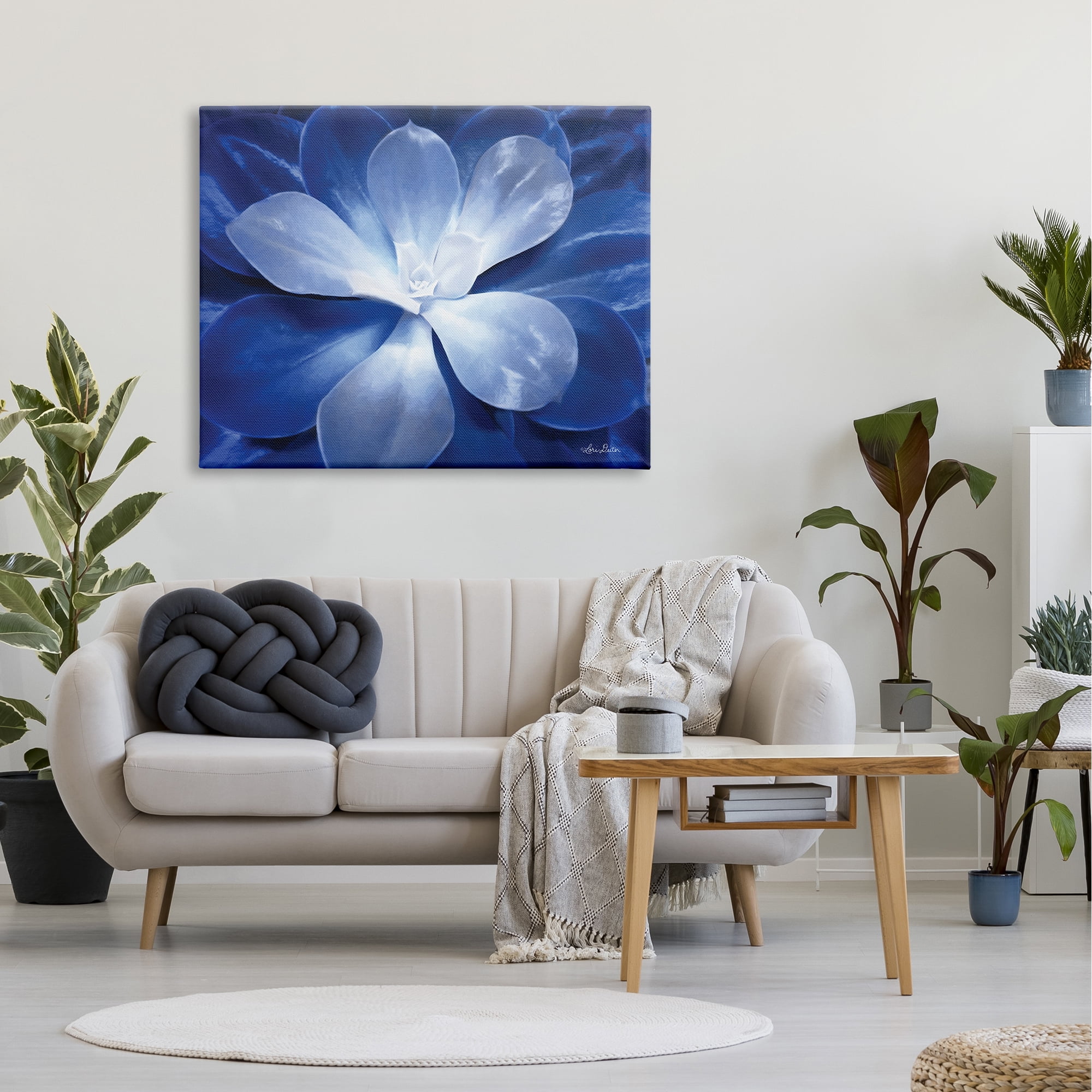 Stupell Industries Monochromatic Blue Succulent Plant Detailed Botanical Petals,48 x 36, Design by Lori Deiter