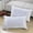 White, variant on Bdday Buckwheat Pillow Soft Dormitory Pillow Core Home Pillow Core