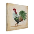 thumbnail image 2 of Trademark Fine Art 'Rooster 5' Canvas Art by Jean Plout, 2 of 3