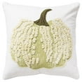 thumbnail image 2 of Rizzy Home Harvest Ivory/Green Pumpkin Cotton 20"x20" Poly Filled Decorative Throw Pillow, 2 of 5
