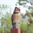 thumbnail image 2 of Señuelo de búho,espantapájaros falso búho señuelo proteger jardines ,protectores de jardín ahuyentador de pájaros con energía solar, de plástico con cuernos ave, 2 of 8