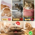 thumbnail image 6 of Cat Toy, Magic Organ Cat Scratch Board, Compact Cats Accordion Toy, Interactive Cardboard Cat Scratcher Pad Toys with Bell Ball for Indoor Exercise, 6 of 10