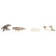 thumbnail image 5 of Kit De Juguetes De Animales Marinos De Plástico, Juego De Juguetes De Animales Marinos Prácticos Texturas únicas Para Juguetes Para Regalo De Vacaciones Para Herramientas ANGGREK Otros, 5 of 8