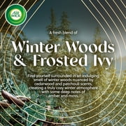 Air Wick Vibrant Plug-In Fall Scented Oil Air Freshener Warmer Refills Falliday Pack, Campfire and Winter Woods, 5 Count