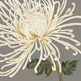 thumbnail image 2 of Shelby, Judy 20x20 Black Ornate Wood Framed with Double Matting Museum Art Print Titled - Glorious Whites II, 2 of 4