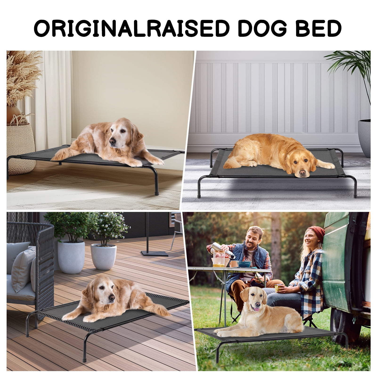 GTYIZ Elevated Dog Bed, Large Cooling Mesh Cot with Powder-Coated Steel Frame, 50x31 inch Outdoor Indoor Pet Bed for Heavy Dogs Up to 80 lbs, Easy Clean Portable for Camping Patio, Black