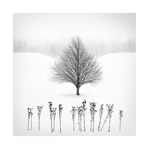 Matt Anderson 'White' Canvas Art