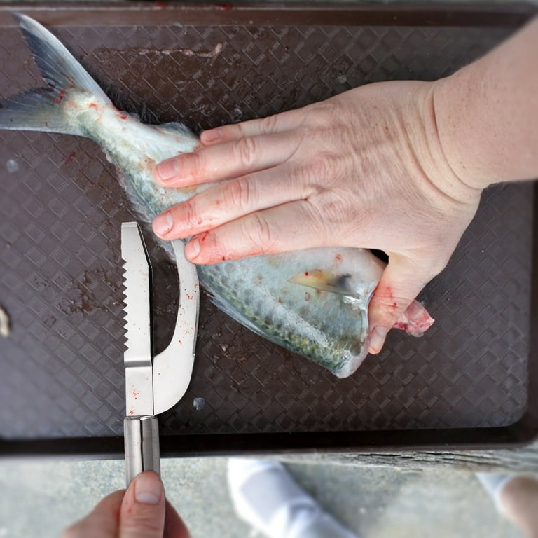 1 pcs Fish Scale Knife Cut Scraper Digging 3 in 1 Tool, Stainless