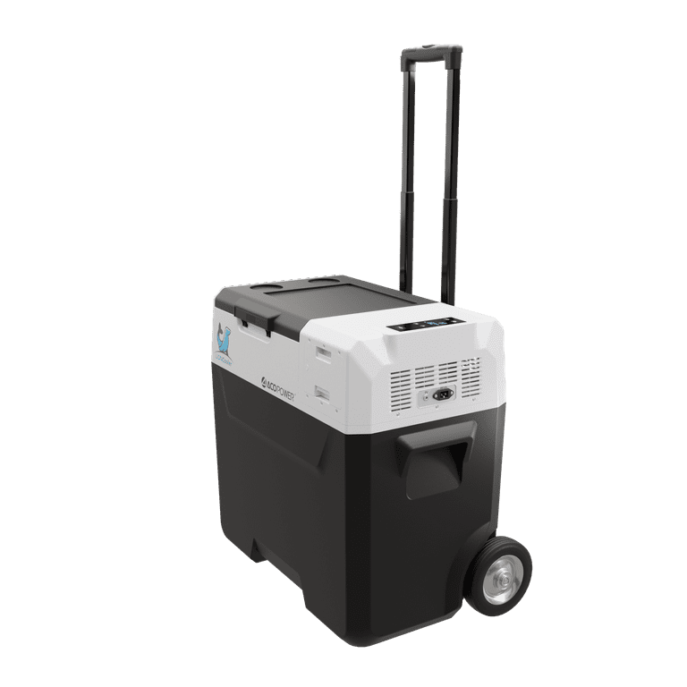 Solar powered portable sale fridge