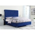 thumbnail image 2 of Queen Navy Blue Velvet Upholstered Panel Bed with Clear Acrylic Legs, 2 of 4