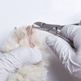 thumbnail image 4 of Alicates para garras de perro con alambre de resorte de acero inoxidable 12 cm, 4 of 5
