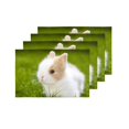 thumbnail image 4 of MKHERT Baby Rabbit Sitting in Grassland Cute Animal Placemats Table Mats for Dining Room Kitchen Table Decoration 12x18 inch,Set of 4, 4 of 4