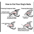 thumbnail image 3 of 1 X Dog Nail Clippers for Small to Medium Dogs with Nail Guard Comes in Black, Blue, or Red, 3 of 3