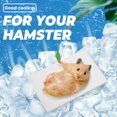 thumbnail image 4 of 2Pcs Hamster Cooling Pad Rabbit Cooling Mat Stainless Steel Cooling Mat Hamster Heat Sink, 4 of 8