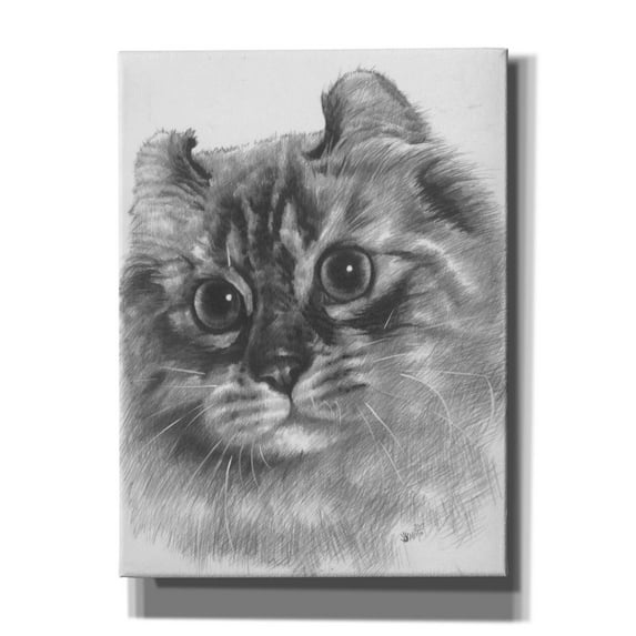 Epic Graffiti 'Lovely' by Barbara Keith, Canvas Wall Art, 40"x54"