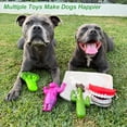 thumbnail image 3 of Pet Deluxe 4 Pack Large Dog Chew Toys for Aggressive Chewers Tough Dog Toys to Keep Them Busy Indestructible Super Chewer for Medium, Large Breed, 3 of 8