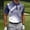 Navy, variant on Mens Polo Shirts Short Sleeve Color Block Lapel Collar Button Pullover Tops Moisture Wicking Regular Fit Golf T-Shirts Breathable Summer Blouses Shirt Tees Casual Work Sports Orange XXXL