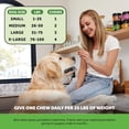 thumbnail image 4 of Pet Honesty Probiotics Gut + Immune Health Pumpkin Flavored Soft Chews, Digestive Probiotic Supplement for Dogs, 90 count, 4 of 8