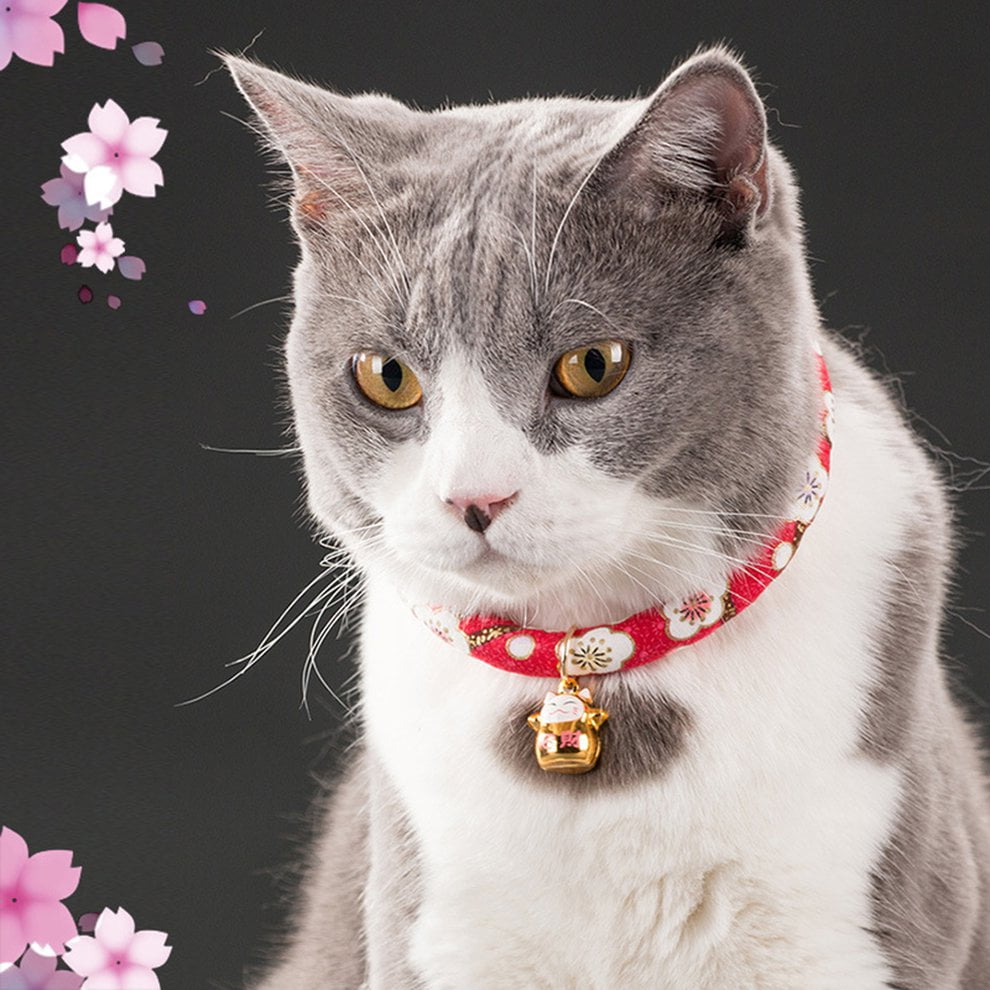 Cute Cat Multi-Color Circle Cat Bell Cat Collar Self-Adjusting Collar L