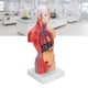thumbnail image 5 of Modelo de torso humano de anatomía modelo de torso humano duradero y preciso de 28 cm para enseñanza de salud física para herramienta de enseñanza para hospitales para ANGGREK Otros, 5 of 8