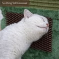 thumbnail image 5 of PetPals Natural Sisal Cactus Cat Scratcher Potted Cactus Sisal Scratcher with Grooming Brush, Flower Toy, 18" High, 5 of 8