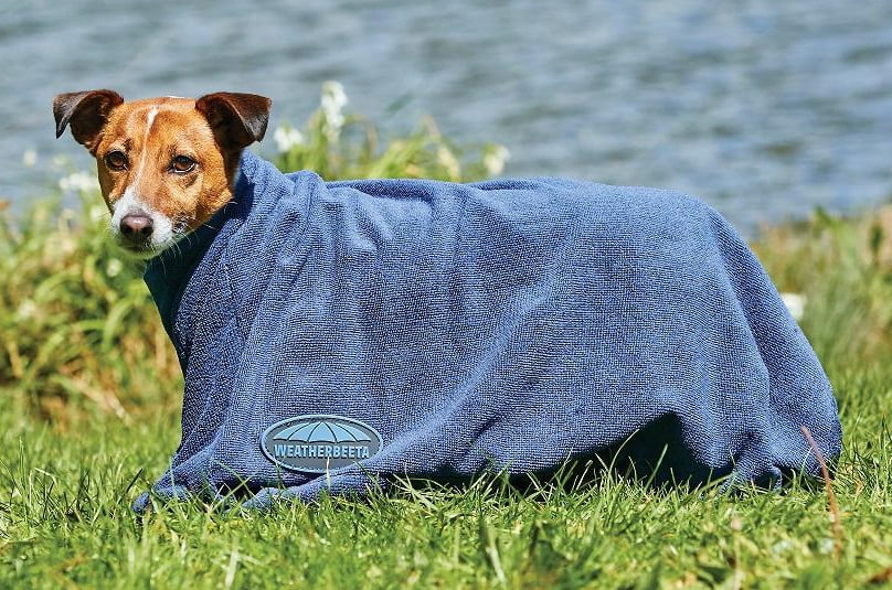 WeatherBeeta DryDog Bag