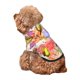 thumbnail image 5 of Balery Flowers And Birds Watercolor Sudadera con Capucha para Perros Pequeños – Ropa para Mascotas, Disfraz para Perros y Gatos, Ideal para Fiestas y Cosplay-Small, 5 of 7