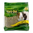thumbnail image 1 of Kt Guinea Pig, 1 of 4