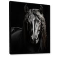thumbnail image 2 of Designart "Vibrant Portrait Black White Horse" Animals Floater Framed Wall Art Print, 2 of 7