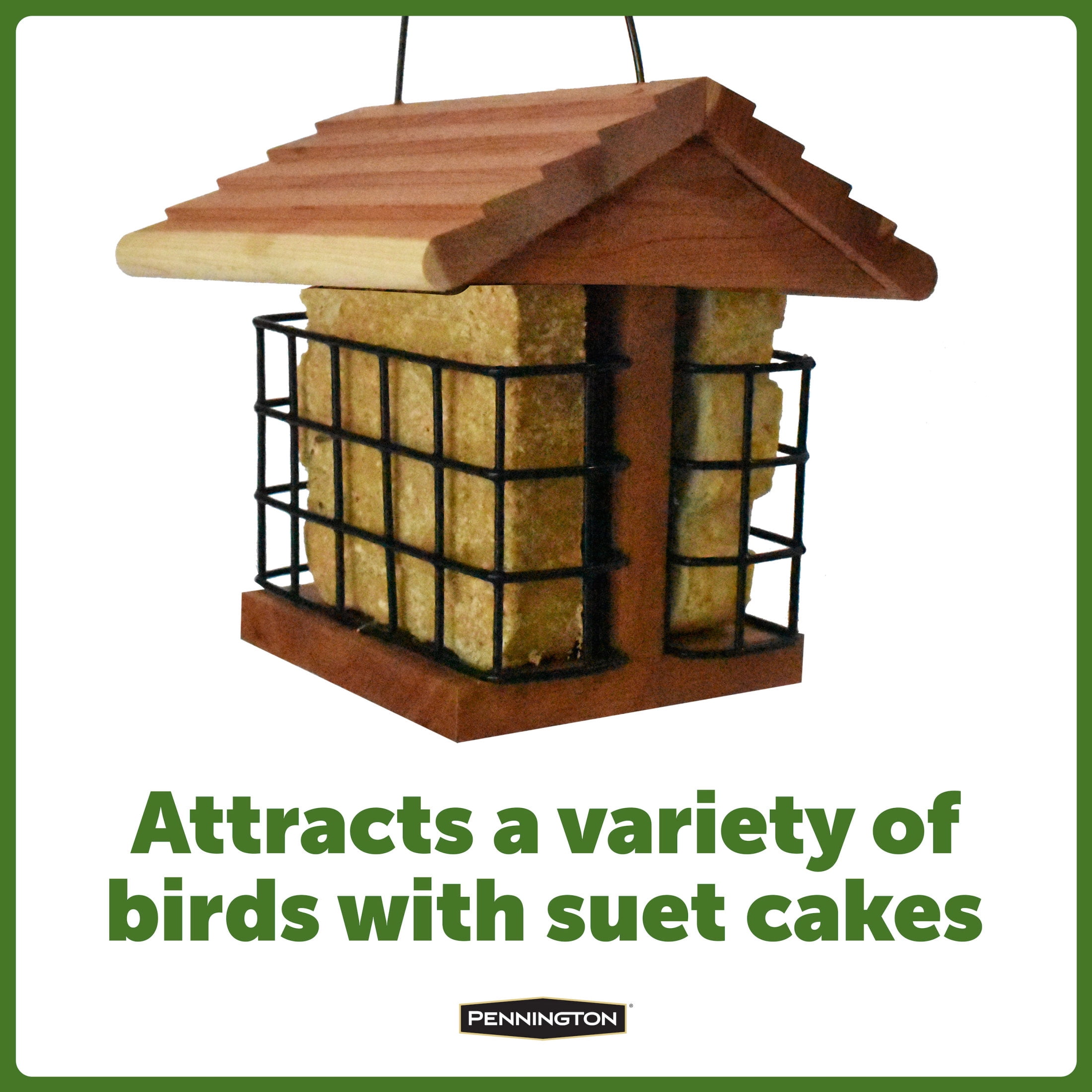 Pennington Red Cedar 2 Cake Suet Station Wild Bird Suet Feeder, 2 Pack