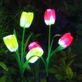 thumbnail image 6 of Solar Powered Tulip Flower Lights Garden Lights 4 Colors Waterproof LED Decoration Lamps Holiday Xmas 4th of July Decorations for Landscape Yard Patio Walkway, 4Pcs Pink, 6 of 8