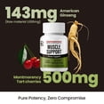thumbnail image 5 of JungKwanJang Muscle Support Supplement for Stress and Joint Health with American Ginseng & Tart Cherry, 60 ct, 5 of 5