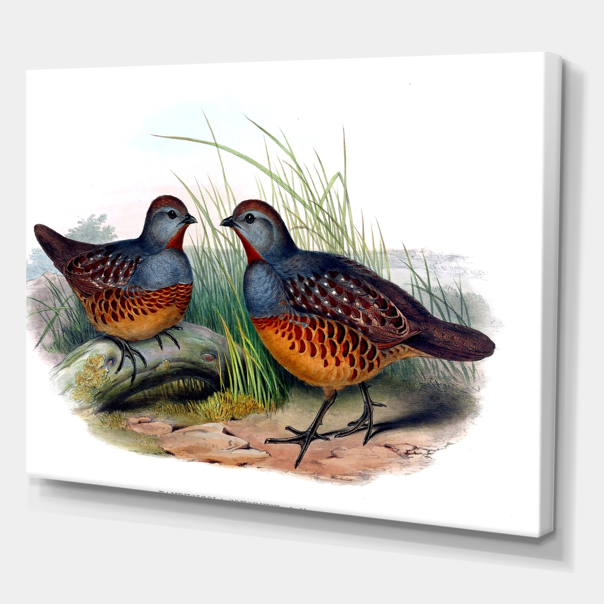 Ancient Birds In The Wild VII 32 in x 16 in Painting Canvas Art Print, by Designart